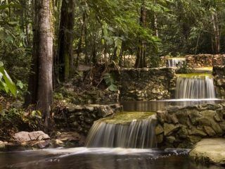 Amazon Ecopark Jungle Lodge
